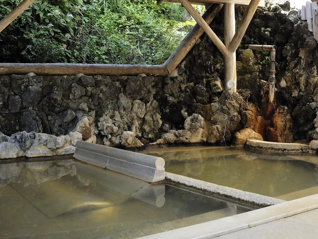 Gora Hanaougi Sounkaku Hakone Ryokan